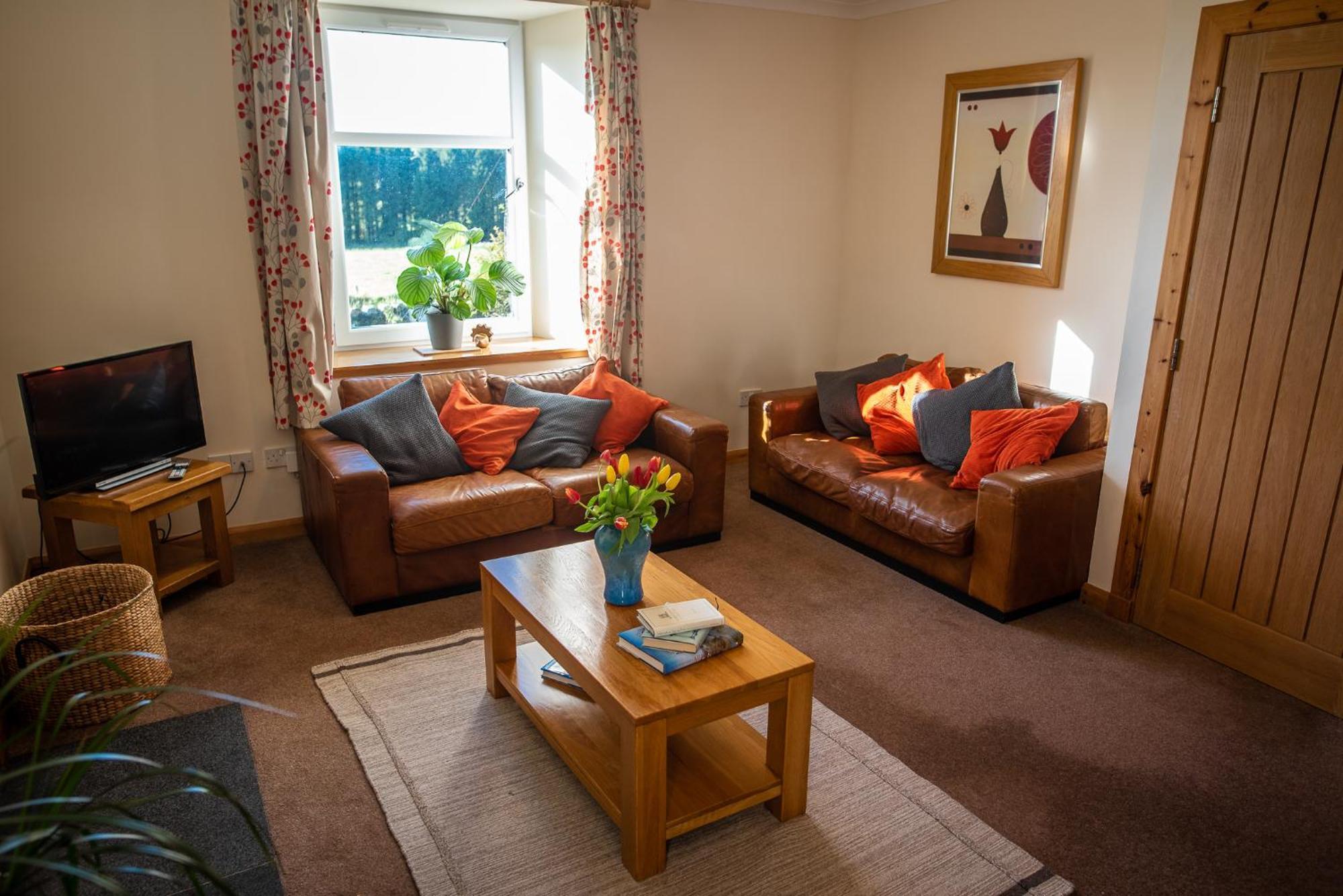 Hillside Cottage Aberdeen Extérieur photo